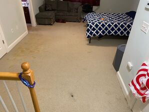 Before & After Carpet Cleaning in Irving, TX (1)