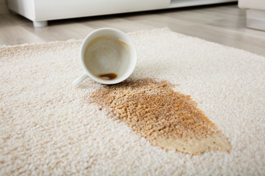 Carpet Stain Removal by Certified Green Team